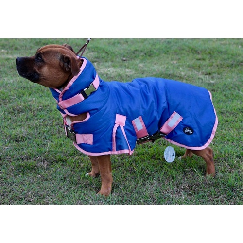Lilcracka Warm Winter Dog Coat 45cm MEDIUM Blue and Pink