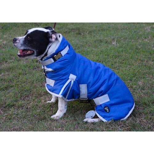 Lilcracka Warm Winter Dog Coat 80cm XL Blue and Silver
