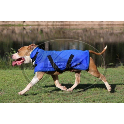 Lilcracka Dual Layer Chamois Cooling Dog Coat 20cm Blue