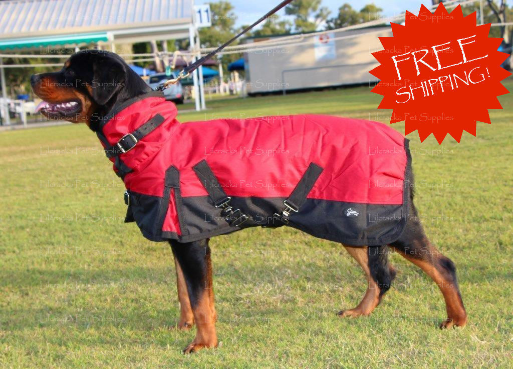 lilcracka cool coats