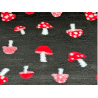 Vet/Dry Bed *Greenback* Mushrooms