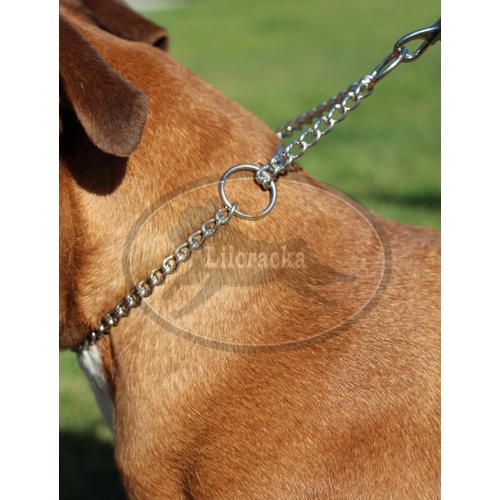 Lilcracka Martingale Single Row Chains Silver 2mm x 40cm