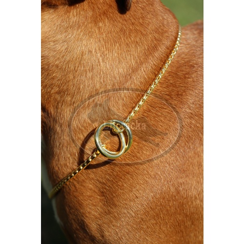 Lilcracka Snake Choke Show Chains Gold 2mm x 25cm
