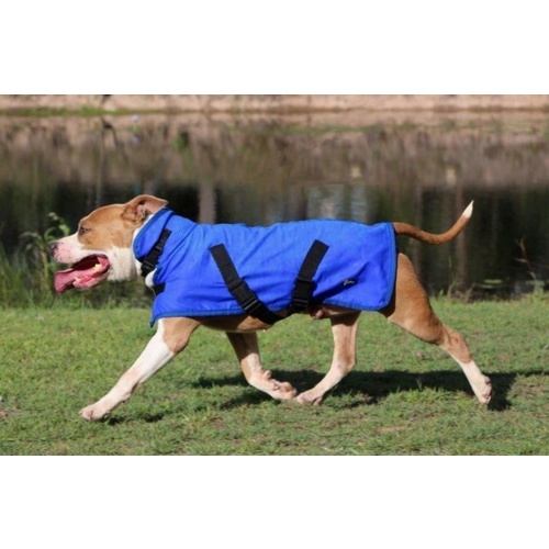 Lilcracka Dual Layer Chamois Cooling Dog Coat 30cm Blue