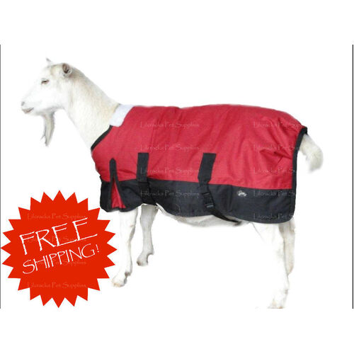 Lilcracka Goat Coat Winter 30cm