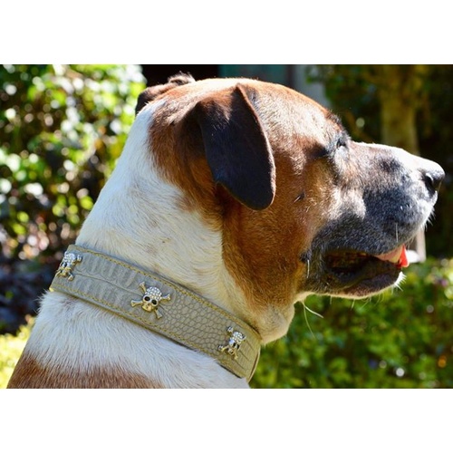 Leather with Skulls and Diamanties Dog Collar 45cm Gold