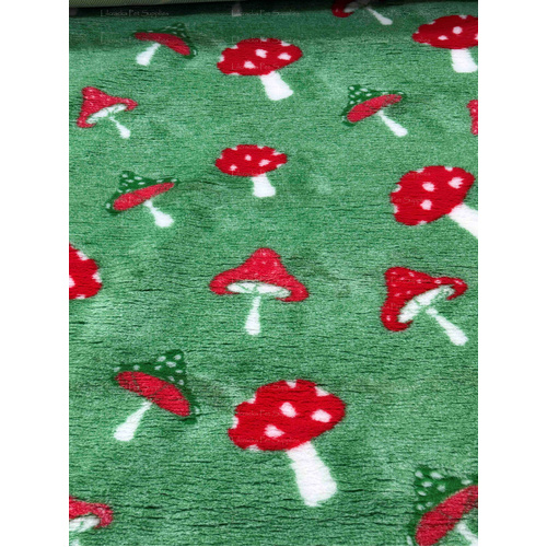 Vet/Dry Bed *Greenback* Field Mushrooms *** 50cm Long x 1.5m wide ***