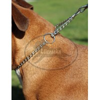 Show Chains & Leads