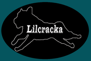 Lilcracka PTY LTD